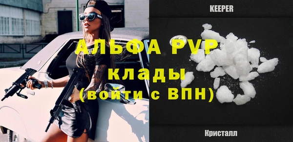 амф Козельск