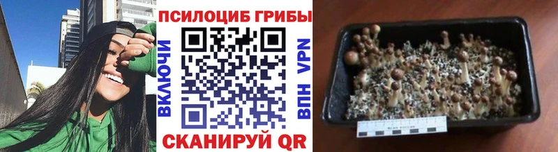 Псилоцибиновые грибы мухоморы  Красавино 